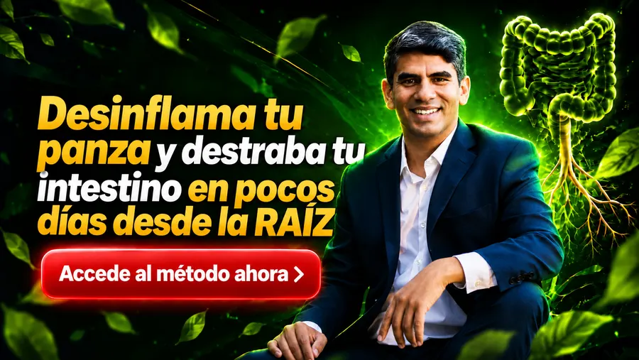 Desinflama tu panza desde la RAÍZ